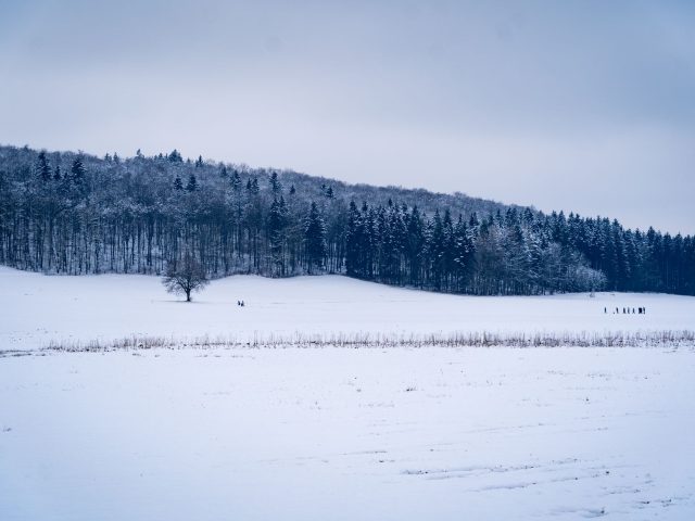 Voyager à petit prix cet hiver : conseils et astuces
