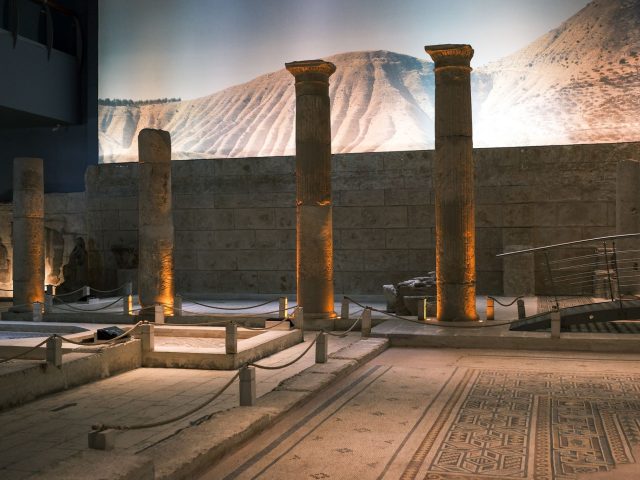 Découvrez les collections captivantes du Royal Ontario Museum